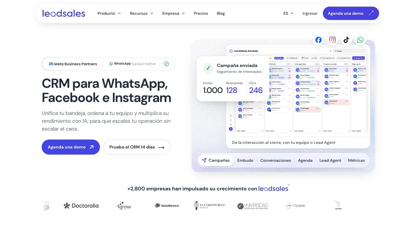 Homepage of Leadsales