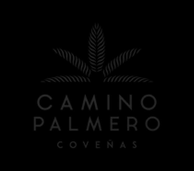 Camino Palmero